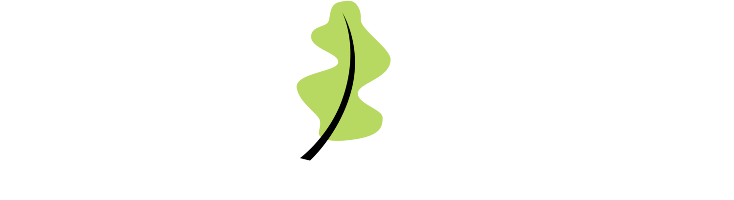 The image displays a logo with text that reads Arbor Dental at the top and below it, additional text includes a phone number, a website address, and a statement indicating they are a Steven Manolides, DMD Associates dental practice. The logo features a graphic of a tree branch on the left side with the name Arbor Dental in stylized font beneath it.